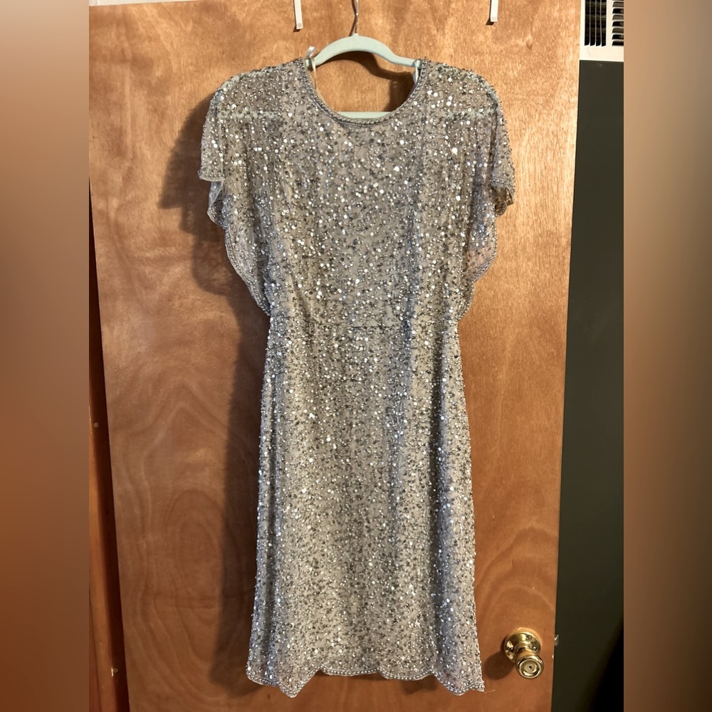 Adrianna Papell brand new silvery sequin dress silver smoke-free pet free home